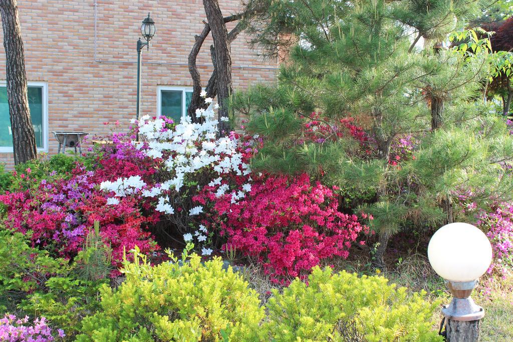 Yeowoogneul Pension Chuncheon Exterior foto