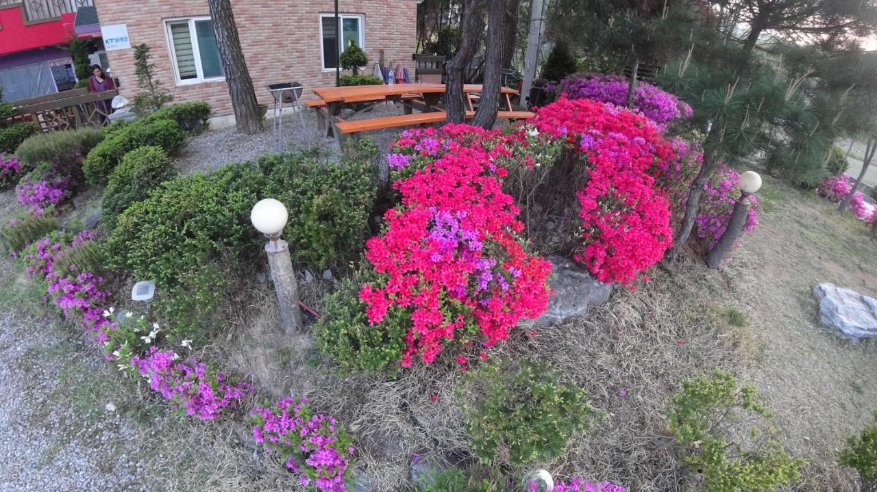 Yeowoogneul Pension Chuncheon Exterior foto